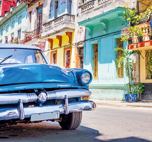 Highlights of Cuba Tour with Wildlife of Central America Cruise